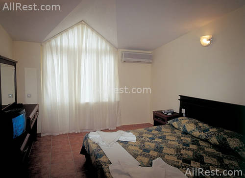 Le Palm 4